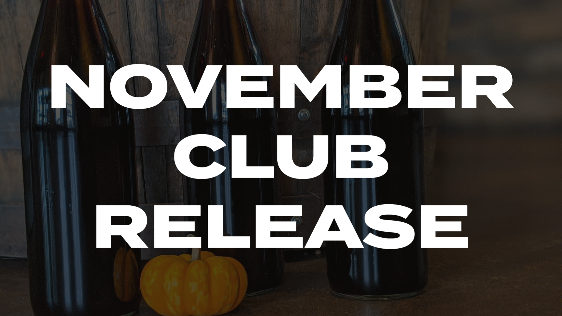 Read more about the article NOVEMBER CLUB RELEASE
