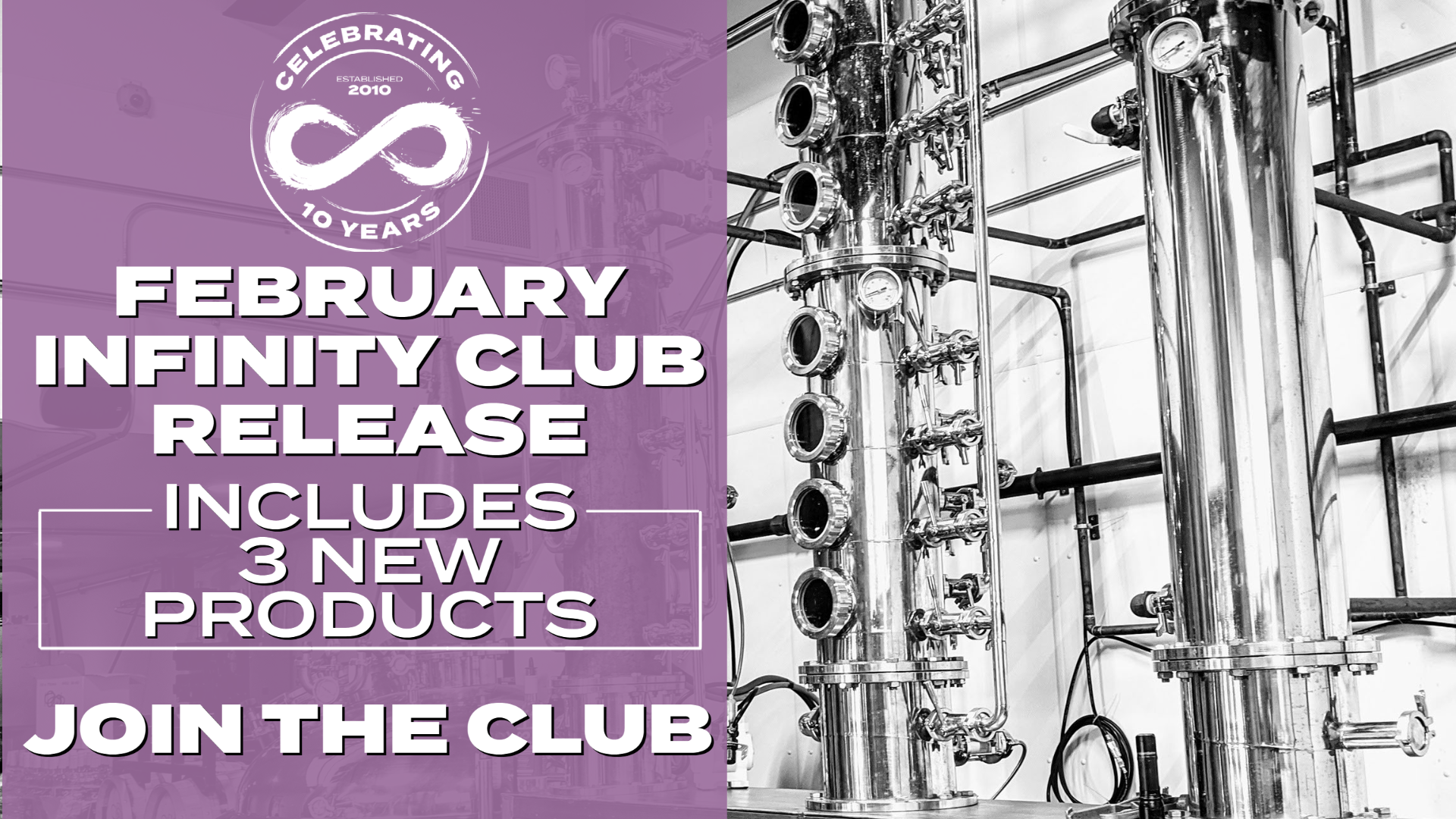 Read more about the article February 2021 Infinity Club Release Product Info